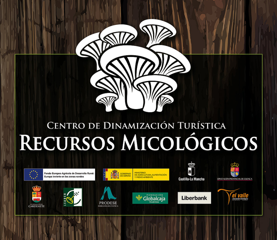 Museo Micológico Cardenete